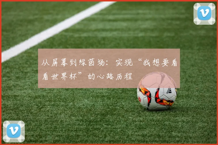 从屏幕到绿茵场:实现“我想要看看世界杯”的心路历程