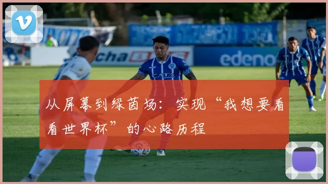 从屏幕到绿茵场:实现“我想要看看世界杯”的心路历程