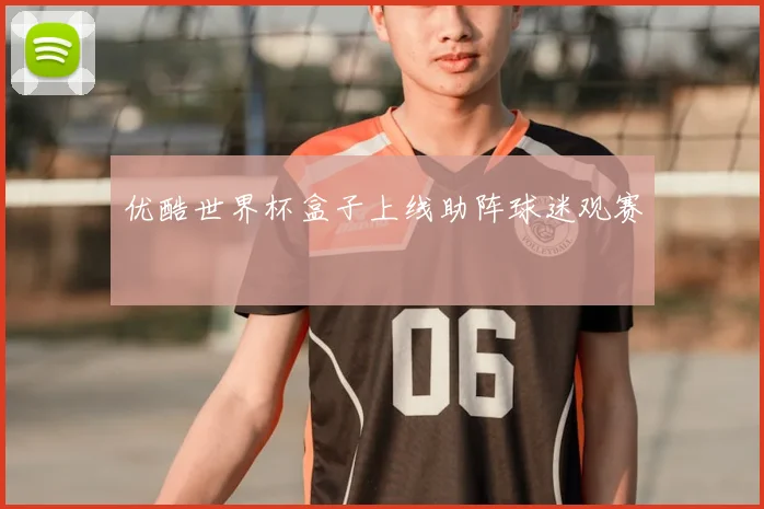 优酷世界杯盒子上线助阵球迷观赛