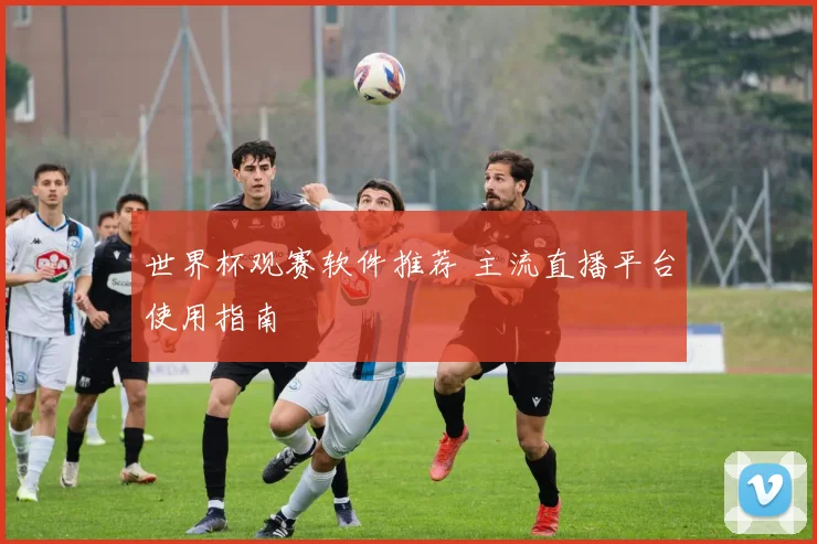 世界杯观赛软件推荐 主流直播平台使用指南