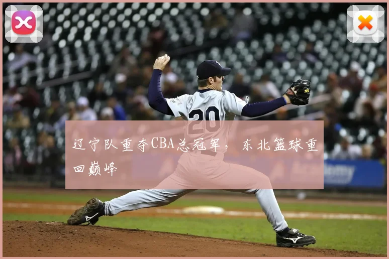 辽宁队重夺CBA总冠军，东北篮球重回巅峰