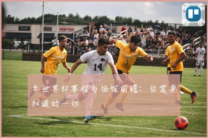 年世界杯赛程与场馆前瞻:你需要知道的一切
