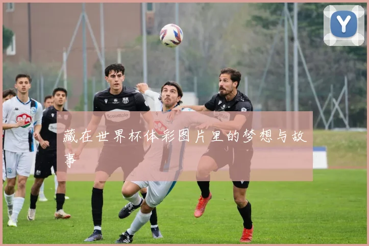 藏在世界杯体彩图片里的梦想与故事