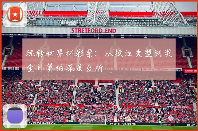 玩转世界杯彩票：从投注类型到奖金计算的深度分析