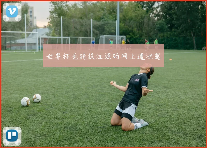 世界杯竞猜投注源码网上遭泄露